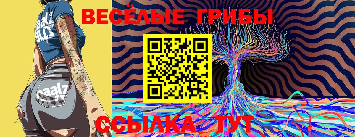 купить наркоту  Псилоцибиновые грибы Psilocybine cubensis  Вход с VPN  Кондопога 